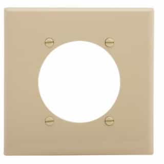 Standard Size 2-Gang Nylon Power Outlet Wallplate, Ivory