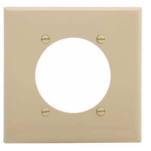 Eaton Wiring Standard Size 2-Gang Nylon Power Outlet Wallplate, Ivory