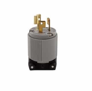 15 Amp Flanged Plug, Locking, NEMA L6-15, Grey