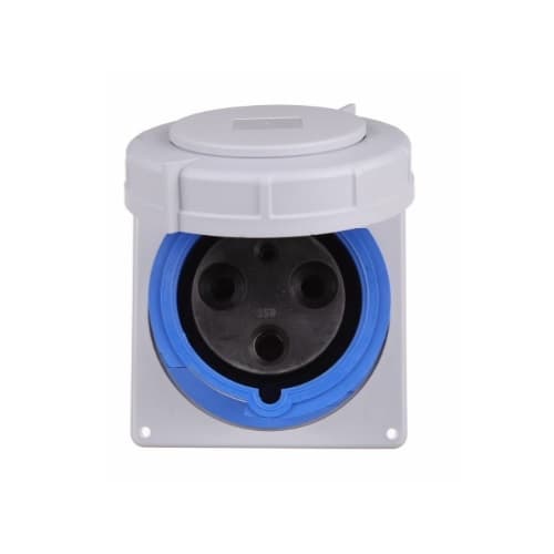 Eaton Wiring 125 Amp Pin and Sleeve Receptacle, 2-Pole, 3-Wire, 240V, Blue