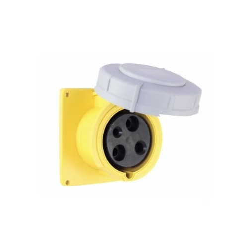 60 Amp Pin and Sleeve Receptacle, 2-Pole, 3-Wire, 125V, Yellow