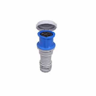 100A/125A Pin & Sleeve Connector, 4-Pole, 5-Wire, 120V/208V, Blue