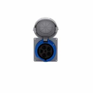 Eaton Wiring 100A/125A Pin & Sleeve Receptacle, 4-Pole, 5-Wire, 120V/208V, Blue