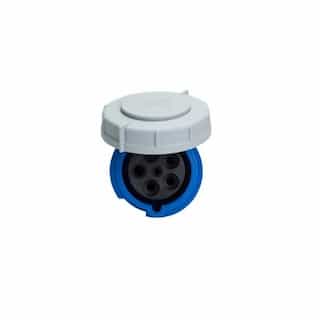 60A/63A Pin & Sleeve Connector, 4-Pole, 5-Wire, 120V/208V, Blue