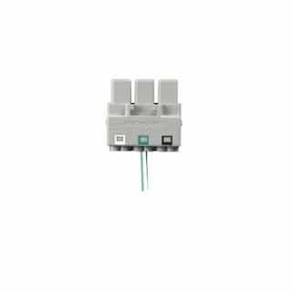 300V SPD Receptacle Connector, Push-In Terminal, No Ground Conductor