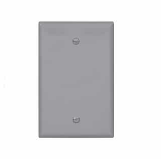 Eaton Wiring 1-Gang Blank Wall Plate, Mid-Size, Gray