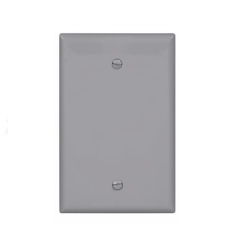 1-Gang Blank Wall Plate, Mid-Size, Grey