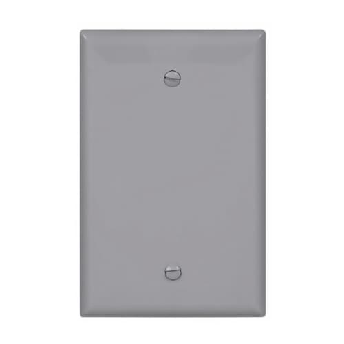 Eaton Wiring 1-Gang Blank Wall Plate, Mid-Size, Polycarbonate, Gray