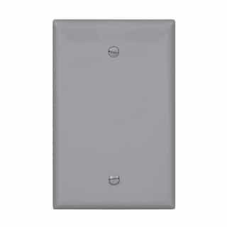 Eaton Wiring 1-Gang Blank Wall Plate, Mid-Size, Polycarbonate, Gray