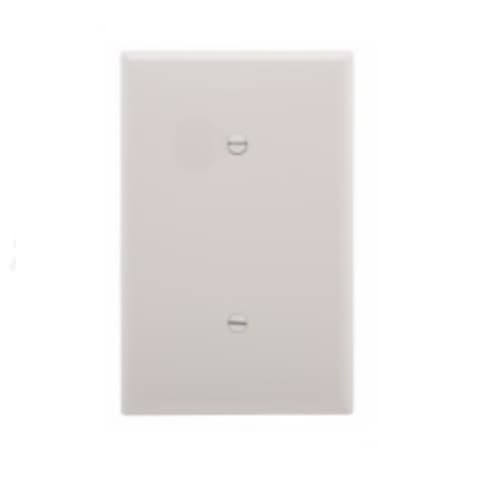 1-Gang Blank Wall Plate, Strap Mount, Mid-Size, White
