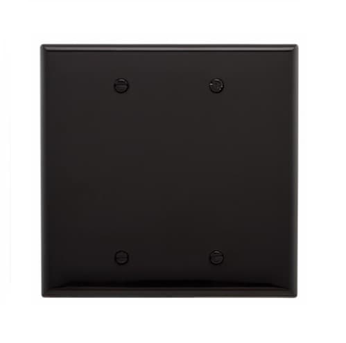 2-Gang Blank Wall Plate, Mid-Size, Polycarbonate, Black
