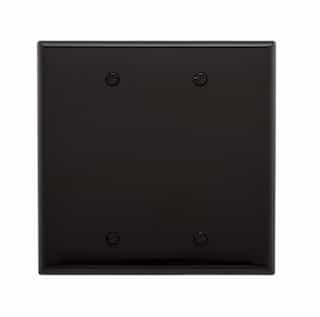 2-Gang Blank Wall Plate, Mid-Size, Polycarbonate, Black