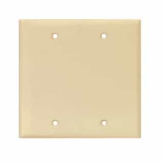 2-Gang Blank Wall Plate, Mid-Size, Polycarbonate, Ivory
