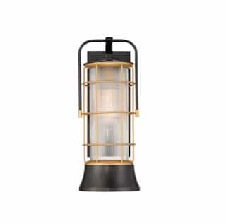20-in 60W Rivamar Outdoor Wall Lantern, 1-Light, E26, 120V, Black/Gold