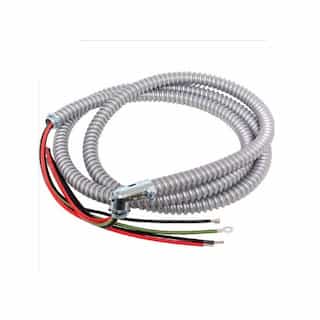 10-ft High Temperature Whip, 4-Wire