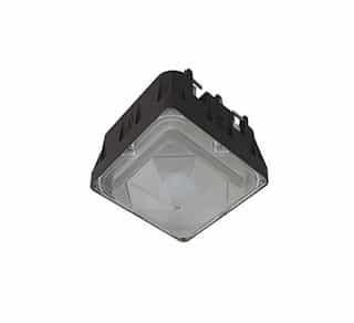 5000K 277V 45W Black Wet LED Canopy Light