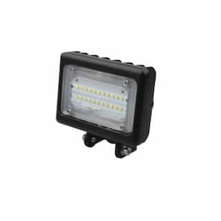 GlobaLux 30W LFL Series LED Flood Light, MV Driver, Photocell, 120V-277V, 5000K
