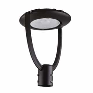 55W Post Top Lantern w/ Adjustable Arm, Photocell, 120V-277V, CCT Selectable