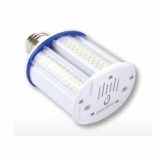 40W LED Corn Bulb, 100W MH Retrofit, E26, 5800 lm, 120V-277V, 5000K