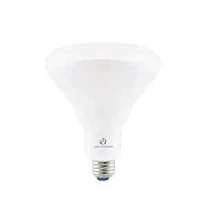 15W LED BR40 Bulb, Dimmable, E26, 1100 lm, 120V, 2700K