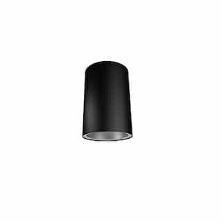 12-in IPS Stem Canopy for 4-in PXCYL Cylinder, 3/8-in, Black