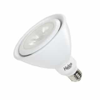 Halco 17W LED PAR38 Bulb, Narrow Flood, 90 CRI, 1370 lm, 120V, 2700K, White
