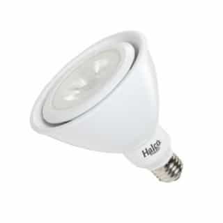Halco 17W LED PAR38 Bulb, Narrow Flood, 90 CRI, 1370 lm, 120V, 4000K, White