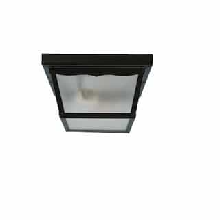 60W Front Porch Flush Mount Fixture, 1-Light, Frosted Glass, Black