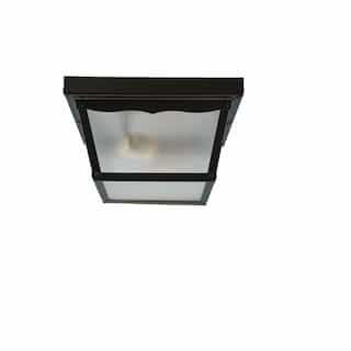 60W Front Porch Flush Mount Fixture, 2-Light, Frosted Glass, Black