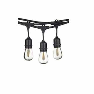 Vivio 48-ft LED String Light, 15-Light, Indoor/Outdoor, Black, 2200K