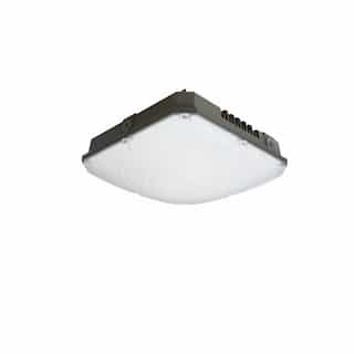 ILP Lighting 66W LED Canopy Light Fixture, 250W Retrofit, Dimmable, 8192 lm, 4000K
