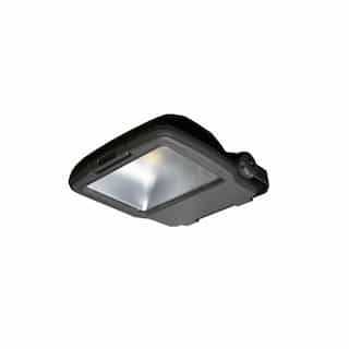 ILP Lighting 55W Medium LED Flood Light w/ LED Driver, Dimmable, 175W MH Retrofit, 6311 lm, 5000K
