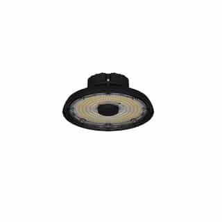 ILP Lighting 198W UFO High Bay,29179lm, 120V-277V, Selectable CCT, Black, Frosted