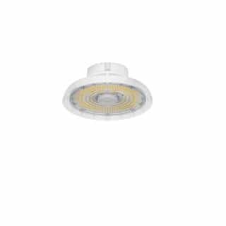 ILP Lighting 198W UFO High Bay, 29179 lm, 120V-277V, Selectable CCT, White, Clear