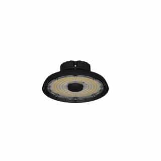 198W LED Round High Bay, Dimmable, 120V-277V, CCT Select, BLK, Clear
