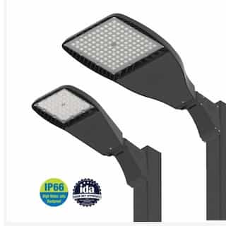 ILP Lighting 220W LED Flood Light w/Slipfitter, Wide Forward, 347V-480V, 4000K, SLV