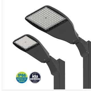 ILP Lighting 220W LED Flood Light w/Slipfitter, Wide Forward, 347V-480V, 4000K, WHT