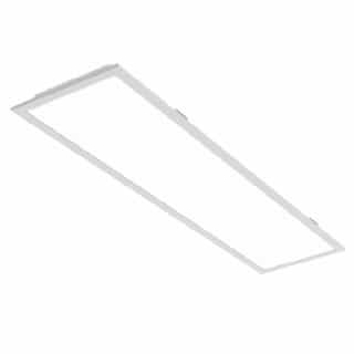 20W LED VPAN Back-Lit Flat Panel 1x4, SelectableCCT
