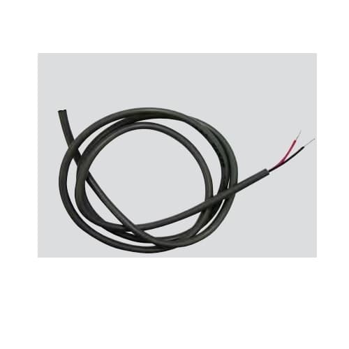 Control Cable for CDP-2 Control Panel, 50-ft Lead