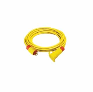 Ericson 8-Feet 30A Power Supply Cable, NEMA 15-30, 250V, Yellow