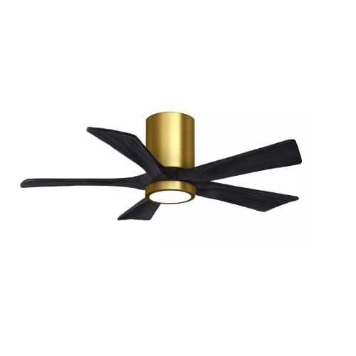 Matthews Fan 42-in 32W Irene Ceiling Fan w/ LED Light Kit, DC, 6-Speed, 5-Black Blades, Brass