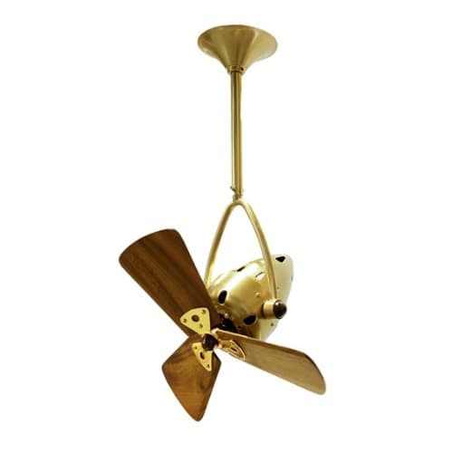 16-in 46W Jarold Direcional Ceiling Fan, AC, 3-Speed, 3-Wood Blades, Polished Brass