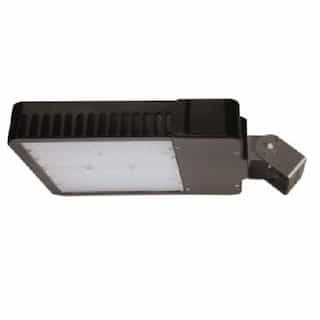 280W LED Shoebox Area Light, 1000 MH Retrofit, 35520 lm, 5000K, Type V