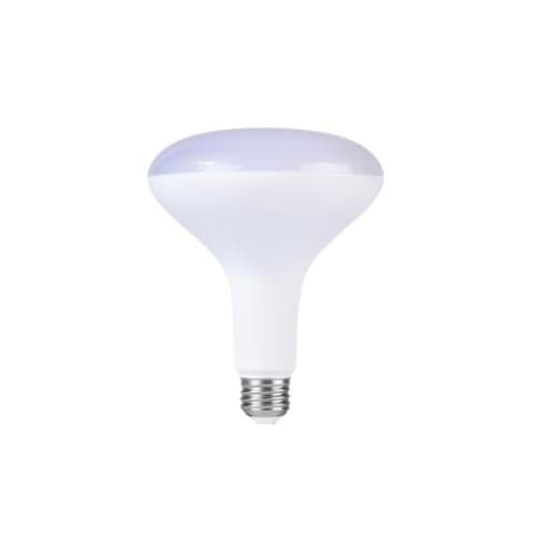 13W Value LED BR40 Bulb, 0-10V Dimmable, 900 lm, 3000K