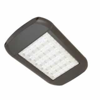 165W LED Shoebox Area Light, Type III, 0-10V Dim, 400W MH Retrofit, 18000 lm, 5000K