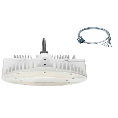 185W LED High Bay w/Motion and Plug, 0-10V Dimmable, 600W MH Retrofit, 25766 lm, 5000K