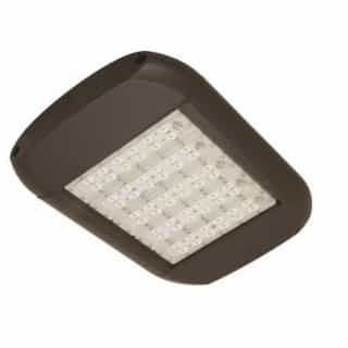 110W LED Shoebox Light, Type IV, 347-480V, 0-10V Dim, 400W MH Retrofit, 11533 lm, 4000K