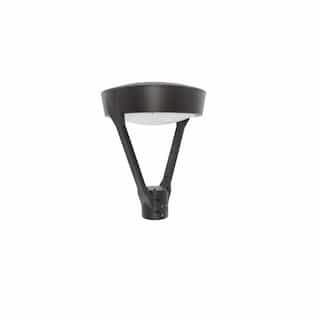 53W LED Post Top Light w/ 3-Pin Receptacle, Spider Mount, 6990 lm, 4000K, Bronze