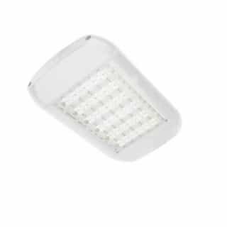 160W LED Shoebox Area Light, Type IV, 0-10V Dim, 400W MH Retrofit, 18210lm, 5000K, White