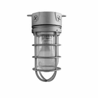 9W LED Vapor Proof Jelly Jar Light, Ceiling Mount, 120V, Silver